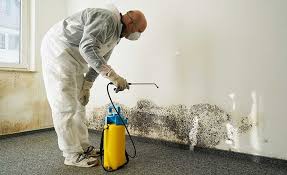 Best Mold Remediation for Healthcare Facilities  in Cullman, AL