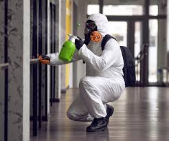 Best Forensic Mold Investigation  in Cullman, AL