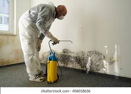 Best Water Damage & Mold Remediation  in Cullman, AL